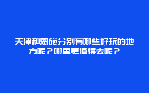 天津和恩施分别有哪些好玩的地方呢？哪里更值得去呢？