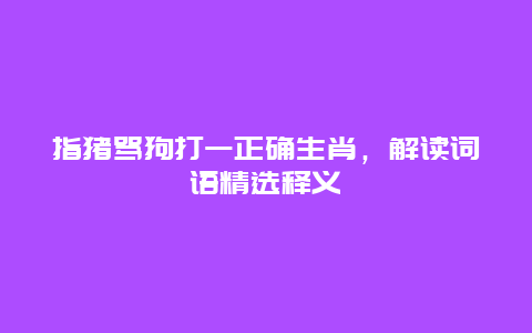 指猪骂狗打一正确生肖，解读词语精选释义