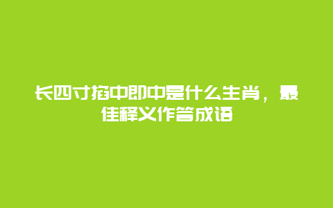 长四寸掐中即中是什么生肖，最佳释义作答成语