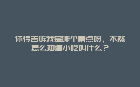 你得告诉我是哪个景点呀，不然怎么知道小吃叫什么？