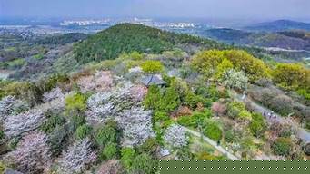 合肥紫蓬山（合肥紫蓬山别墅）