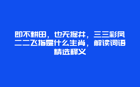 即不耕田，也无掘井，三三彩凤二二飞指是什么生肖，解读词语精选释义