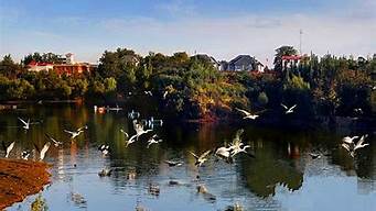 彰武（彰武天气预报）