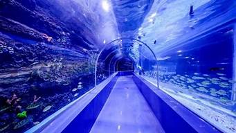 深圳海洋世界（深圳海洋世界什么时候开放）