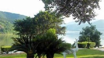 杉湖岛（杉湖岛景区）