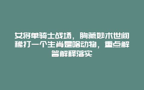 女将单骑士战场，胸藏妙术世间稀打一个生肖是啥动物，重点解答解释落实