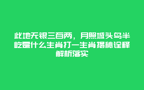 此地无银三百两，月照城头鸟半屹是什么生肖打一生肖揭秘诠释解析落实