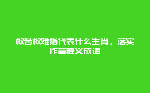 救苦救难指代表什么生肖，落实作答释义成语
