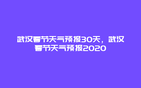 武汉春节天气预报30天，武汉春节天气预报2025