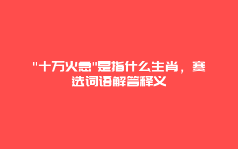 “十万火急”是指什么生肖，赛选词语解答释义