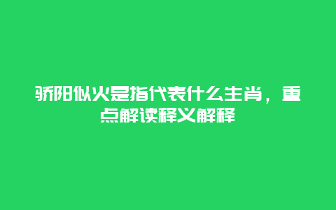 骄阳似火是指代表什么生肖，重点解读释义解释