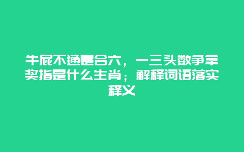 牛屁不通是合六，一三头数争拿奖指是什么生肖；解释词语落实释义
