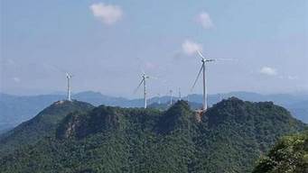 广东阳山（广东阳山有什么野生动物）