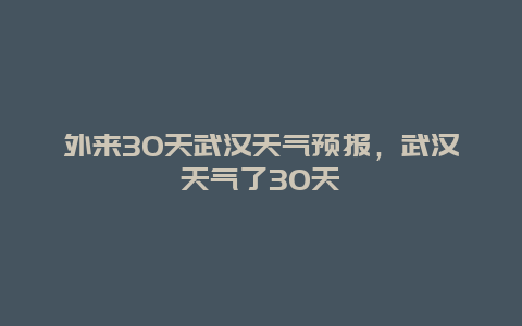 外来30天武汉天气预报，武汉天气了30天