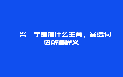 捊臂揎拳是指什么生肖，赛选词语解答释义