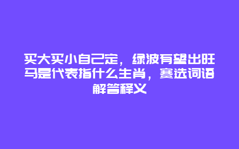 买大买小自己定，绿波有望出旺马是代表指什么生肖，赛选词语解答释义