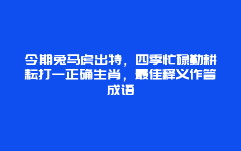 今期兔马虎出特，四季忙碌勤耕耘打一正确生肖，最佳释义作答成语