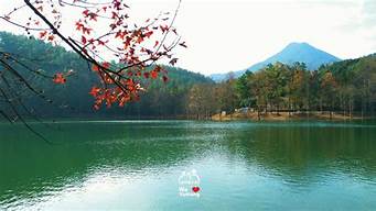 长乐林场（长乐林场甲虫）