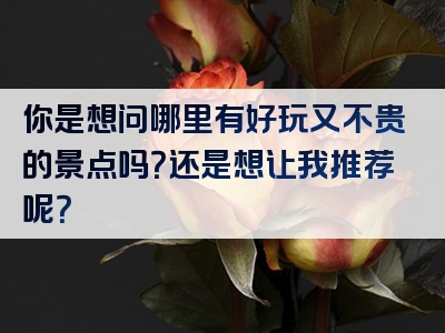 你是想问哪里有好玩又不贵的景点吗？还是想让我推荐呢？