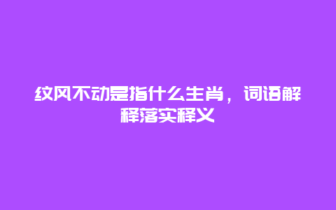 纹风不动是指什么生肖，词语解释落实释义