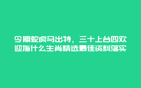 今期蛇虎马出特，三十上台四欢迎指什么生肖精选最佳资料落实
