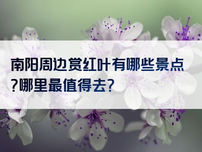 南阳周边赏红叶有哪些景点？哪里最值得去？