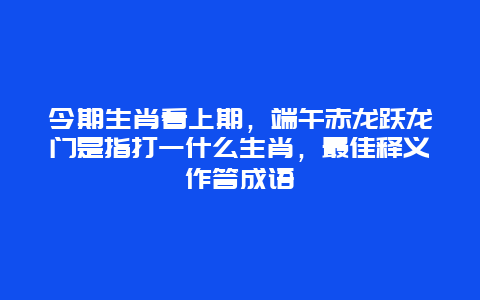 今期生肖看上期，端午赤龙跃龙门是指打一什么生肖，最佳释义作答成语