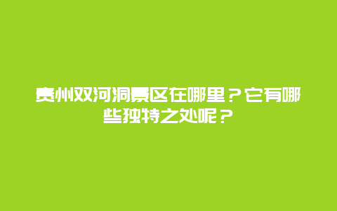 贵州双河洞景区在哪里？它有哪些独特之处呢？