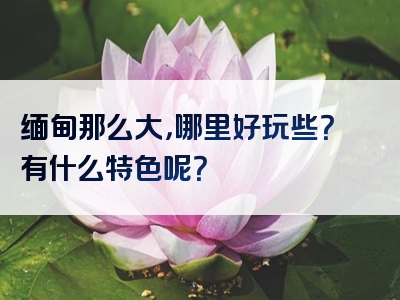 缅甸那么大，哪里好玩些？有什么特色呢？