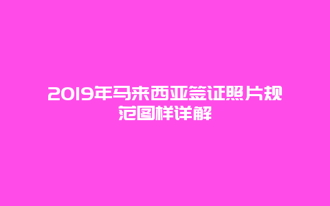2019年马来西亚签证照片规范图样详解
