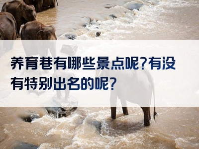 养育巷有哪些景点呢？有没有特别出名的呢？