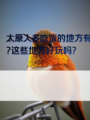 太原人多吃饭的地方有哪些？这些地方好玩吗？