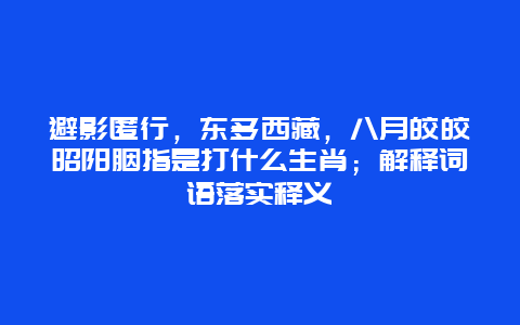 避影匿行，东躲西藏，八月皎皎昭阳胭指是打什么生肖；解释词语落实释义
