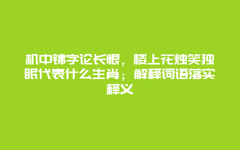 机中锦字论长恨，楼上花烛笑独眠代表什么生肖；解释词语落实释义