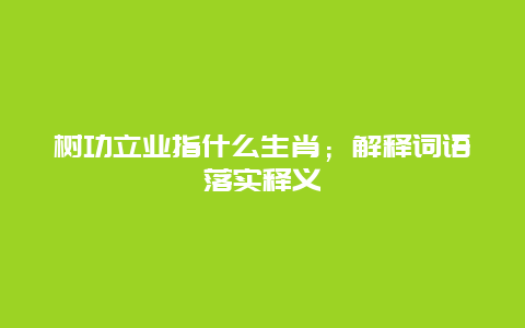树功立业指什么生肖；解释词语落实释义