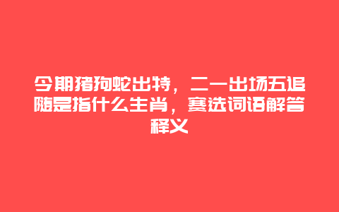 今期猪狗蛇出特，二一出场五追随是指什么生肖，赛选词语解答释义