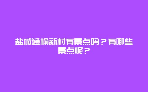 盐城通榆新村有景点吗？有哪些景点呢？