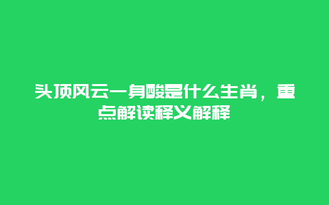 头顶风云一身酸是什么生肖，重点解读释义解释