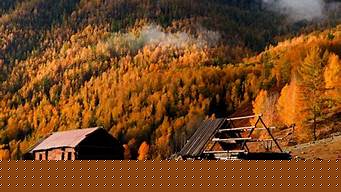 禾木（禾木天气）