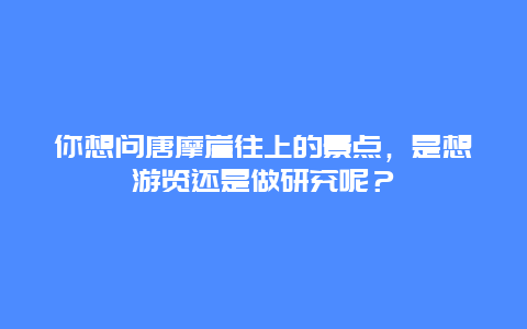你想问唐摩崖往上的景点，是想游览还是做研究呢？