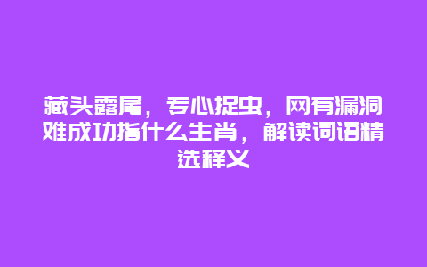 藏头露尾，专心捉虫，网有漏洞难成功指什么生肖，解读词语精选释义