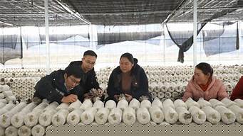 罗甸（罗甸地震）