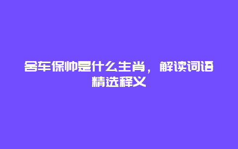 舍车保帅是什么生肖，解读词语精选释义