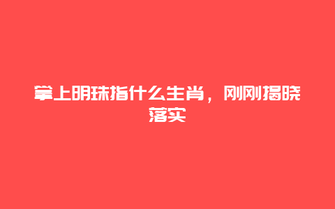 掌上明珠指什么生肖，刚刚揭晓落实