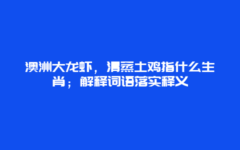 澳洲大龙虾，清蒸土鸡指什么生肖；解释词语落实释义