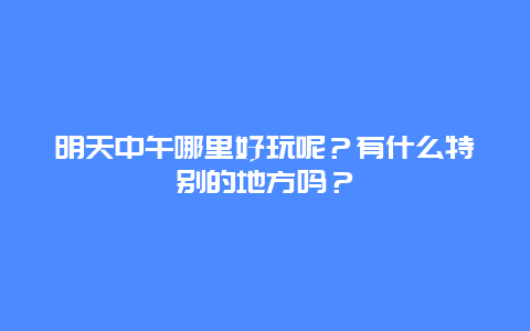 明天中午哪里好玩呢？有什么特别的地方吗？