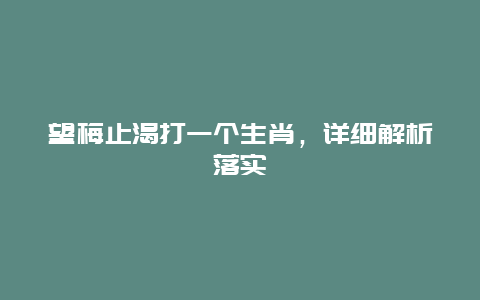 望梅止渴打一个生肖，详细解析落实