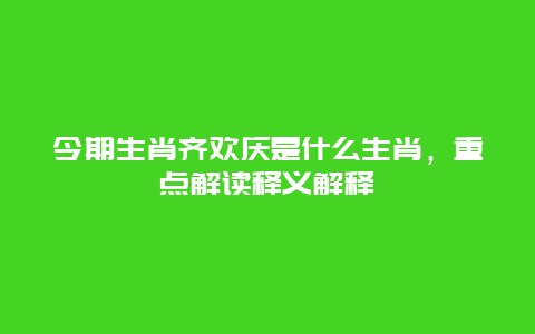 今期生肖齐欢庆是什么生肖，重点解读释义解释