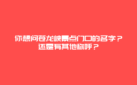 你想问苍龙峡景点门口的名字？还是有其他称呼？