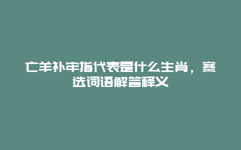 亡羊补牢指代表是什么生肖，赛选词语解答释义